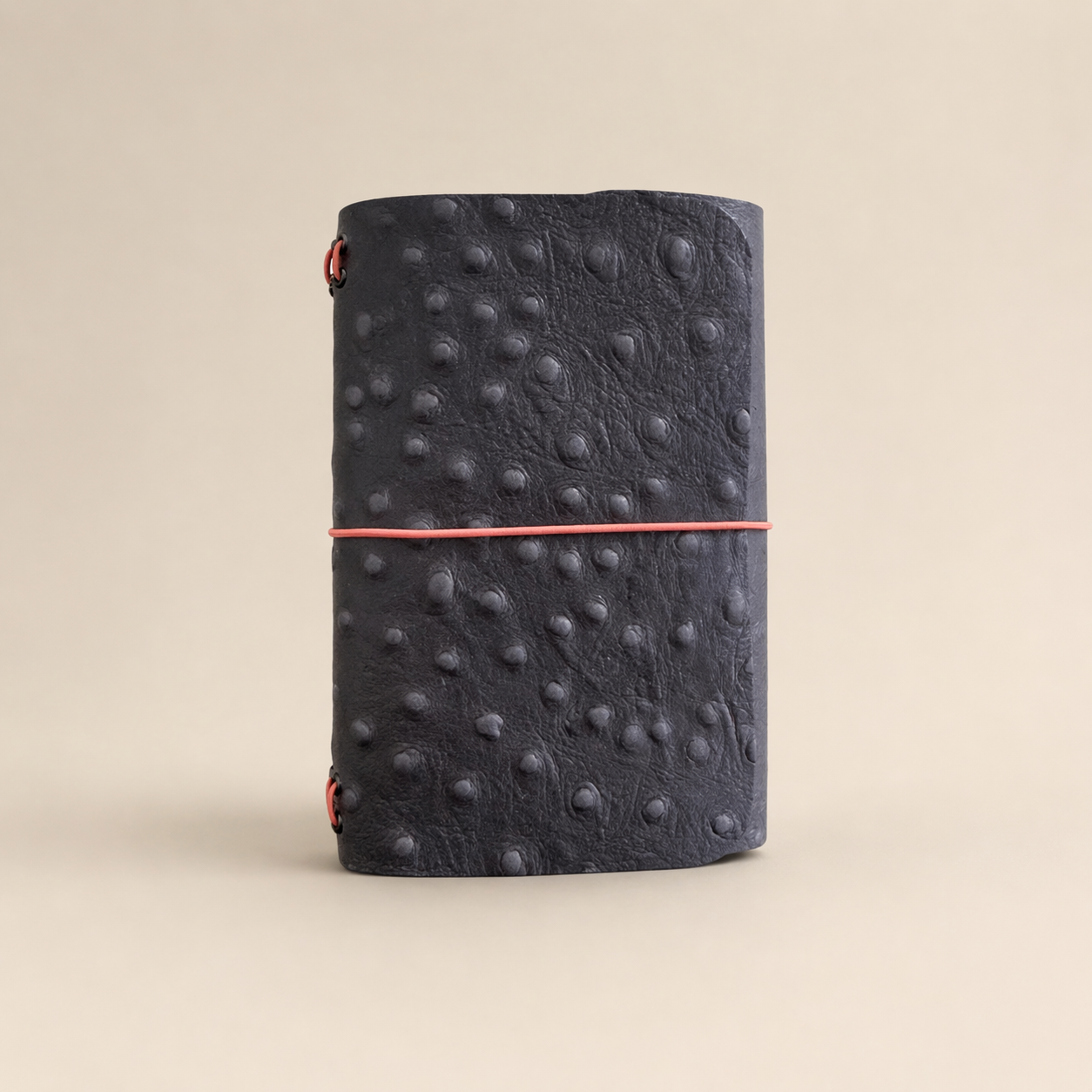 Journal B7 - Ready Made